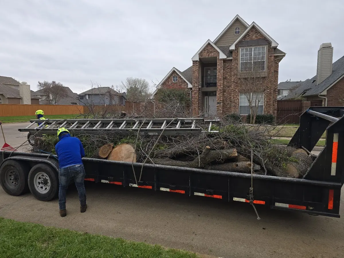 Expert Lot Clearing with proper safety equipment in Bausman